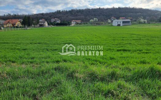 Green field in the foreground with a cluster of houses along the edge and a forested hill in the distance under a cloudy sky