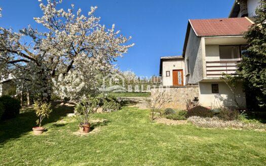 Sunny backyard scene with blooming white-flower trees on the left, a green lawn, and a beige house with a red roof on the right under a clear blue sky.