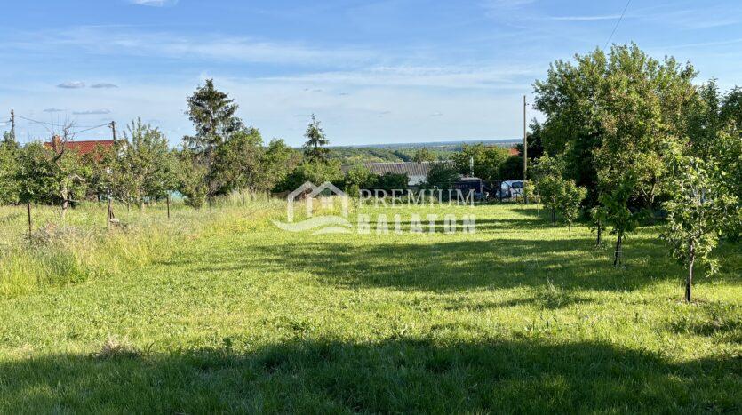 Open countryside scene with a grassy field, scattered trees, and a clear blue sky with a few clouds; distant houses and a fence hint at a rural property.