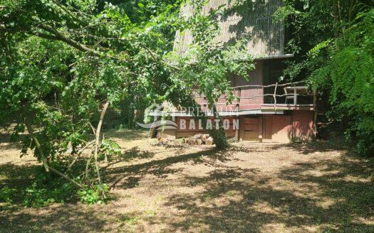 Small red wooden cabin partially hidden among dense green trees with a balcony edge visible.