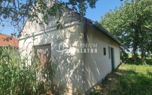 Small, light-colored house exterior partially obscured by tall green plants and tree branches under a clear blue sky, with a gutter along the roof edge.