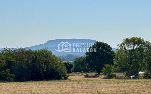 Dry grassy field in the foreground with a line of trees and distant hills under a clear blue sky.